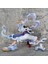 Anime One Piece Güneş Tanrısı Nika Beşinci Vites Luffy Çömelme Pozisyonu Ikinci Vites Meyve Uyanışı Beyaz Saçlı Anime Figür Modeli (Yurt Dışından) 2