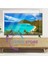 Awox Uyumlu 50" Inç 126 cm Tv Ekran Koruyucu 5
