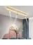 Beyaz Spotlu Oval 100X16CM 3000K Işık Rengi, Kuamndalı LED Tavan Lambası,oval Avize,modern Aydınlatma,dekoratif Işık 1