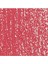 Neopastel Yumuşak Yağlı Pastel Carmine 080 4