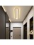 Antrasit Oval 100X16CM 3000K Işık Rengi, Kumandalı LED Tavan Lambası,oval Avize,modern Aydınlatma,dekoratif Işık 2