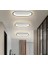 Siyah Oval 60X16CM 3000K Işık Rengi, Kumandalı LED Tavan Lambası,oval Avize,modern Aydınlatma,dekoratif Işık 1
