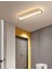 Siyah Oval 60X16CM 3000K Işık Rengi, Kumandalı LED Tavan Lambası,oval Avize,modern Aydınlatma,dekoratif Işık 3