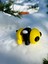 Arı Oyuncak - Altın Işık Çiçeği'nin Peşindeki Bebek Arı🌼🐝3d Hareketli Organik Model - Orta Boy 6