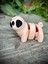 Pug Cinsi Oyuncak Köpek 🐶 🐾 “burun Kıvıran Minik Dost” – 3D Hareketli Organik Pug Figürüyle Tanışın Orta Boy 1