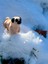 Pug Cinsi Oyuncak Köpek 🐶 🐾 “burun Kıvıran Minik Dost” – 3D Hareketli Organik Pug Figürüyle Tanışın Orta Boy 2