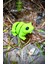 Oyuncak Kurbağa - Zıplamanın Neşesi! 🐸🌿 3D Hareketli Organik Model - Orta Boy 1