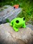 Oyuncak Kurbağa - Zıplamanın Neşesi! 🐸🌿 3D Hareketli Organik Model - Orta Boy 7