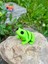 Oyuncak Kurbağa - Zıplamanın Neşesi! 🐸🌿 3D Hareketli Organik Model - Orta Boy 8