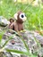 Maymun Oyuncak Zıpzıp – Muz Peşinde Durmayan Akrobat!🐵🌴🍌🐒 - 3D Hareketli Organik Model - Orta Boy 4