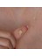 Altın Kutup Yıldızı Kolye B926988 2