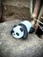 Panda Oyuncak - Ormanın Sevimli Dev Yaratığı! 🐼🎋 3D Hareketli Organik Model- Orta Boy 2