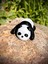 Panda Oyuncak - Ormanın Sevimli Dev Yaratığı! 🐼🎋 3D Hareketli Organik Model- Orta Boy 7