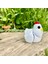 Tavuk Oyuncak - Çiftlikteki Kümesin Neşesi ! 🐔🥚🌾3d Hareketli Organik Model - Orta Boy 1