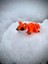 Tilki Oyuncak - Ormanın Kurnaz ve Sevimli Kaşifi! 🦊🍂✨ 3D Hareketli Organik Model - Orta Boy 5