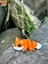 Tilki Oyuncak - Ormanın Kurnaz ve Sevimli Kaşifi! 🦊🍂✨ 3D Hareketli Organik Model - Orta Boy 9