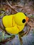 Ördek Oyuncak- Bebek Ördek Gölün Sevimli Kaşifi 🦆🌊 3D Hareketli Organik Model - Orta Boy 7