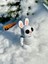 Tavşan - Ormanın Neşeli ve Çevik Kaşifi Ayakta!🐇🌿✨3d Hareketli Organik Oyuncak - Model Orta Boy 5