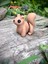 Sincap Oyuncak - Ormanın Enerjik Cıvıl Cıvıl Kaşifi 🌰🐿️3d Hareketli Organik Model- Orta Boy 3