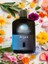 Argan Şampuan 500 ml 4
