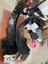 Honda Civic Fb7 2012-2016 Model Uyumlu Sağ Sol Ön Davlumbaz Takımı 2