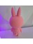 Pembe Labubu Figür – (12 Cm) 2