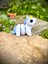 Unicorn Oyuncak -Fantastik Dünyaların Sihirli Sembolü💙azure🦄!3d Hareketli Organik Model - Orta Boy 1