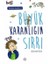 Büyük Karanlığın Sırrı 1