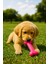 Köpek Kemirme Oyuncağı - Kemik Şekilli Köpek Diş Kaşıma Isırma Oyuncağı 1