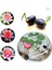 5 Adet Tohum Nadir Karışık Hint Lotus Çiçeği Tohumu Orjinal Taze Hasat Lotus Su Çiçeği Nilüfer 3