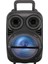 Zore Pk-15 Fm Radyolu Mikrofonlu Rgb Tws 8 Inç Stereo Bass Kablosuz Karaoke Hoparlör 4