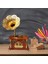 Gramofon Müzik Kutusu Kahverengi 13X26CM 2