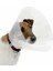 Kedi & Köpek Yakalık & Boyunluk Dikişsiz 7,5 cm. 1 Adet 4