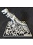 T-Rex Skeleton Kit Card Dinazor Puzzle 1