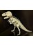 T-Rex Skeleton Kit Card Dinazor Puzzle 3