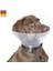 Kedi &Köpek Yakalık 10 cm. 1 Adet 6