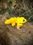 Oyuncak Leopar Kertenkelesi – Çölün Altın Deseni! 🌵🌞🦎🌟3d Hareketli Organik Model - Orta Boy 9