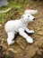 Kutup Ayısı – Buzulların Beyaz Muhafızı!🐻‍❄️❄️3d Hareketli Organik Oyuncak - Büyük Boy Vıp Versiyon 8