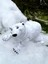 Kutup Ayısı – Buzulların Beyaz Muhafızı!🐻‍❄️❄️3d Hareketli Organik Oyuncak - Büyük Boy Vıp Versiyon 10