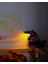 3D Lamp / 3 Boyutlu Lamba Dinos 3
