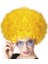 Canlı Sarı Kıvırcık Afro Bonus Peruk, Parti Aksesuarı 2