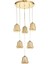 Venita 6 lı Bal+Beyaz Çift Camlı Salon Oturma Odası Modern Sarkıt Avize - (Gold Kaplama) 1