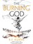 Burning God: Book 3 1