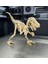 Velociraptor Kit Card-Dinazor Puzzle-Boyanabilir Puzzle 2