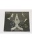 Hyun Sook Tekin, Satoko Mimura - Dört El (Brahms: Four Hands) Cd+Book 1
