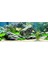 KP1556534 Akvaryum Arka Fon Yapıştırma 155 x 65 cm 1