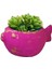 13cm Balık Saksı Mumluk Silikon Kalıp K-753, Polyester Taş Tozu Alçı Kalıbı 3