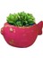 13cm Balık Saksı Mumluk Silikon Kalıp K-753, Polyester Taş Tozu Alçı Kalıbı 7