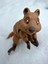 Quokka - Kısa Kuyruklu Kanguru Oyuncak Rottnest Adası'nın Cesur Gönüllüsü🦘🌿3d Hareketli Organik Vip Model - Büyük Boy 4