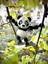 Panda Oyuncak Figür – Sarılmalık Şefkatin Devasa Hâli! 3d Hareketli Organik Vip Model- Büyük Boy 2